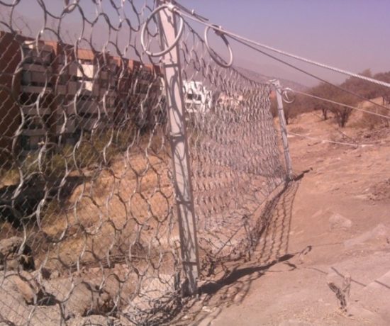 Imagen19